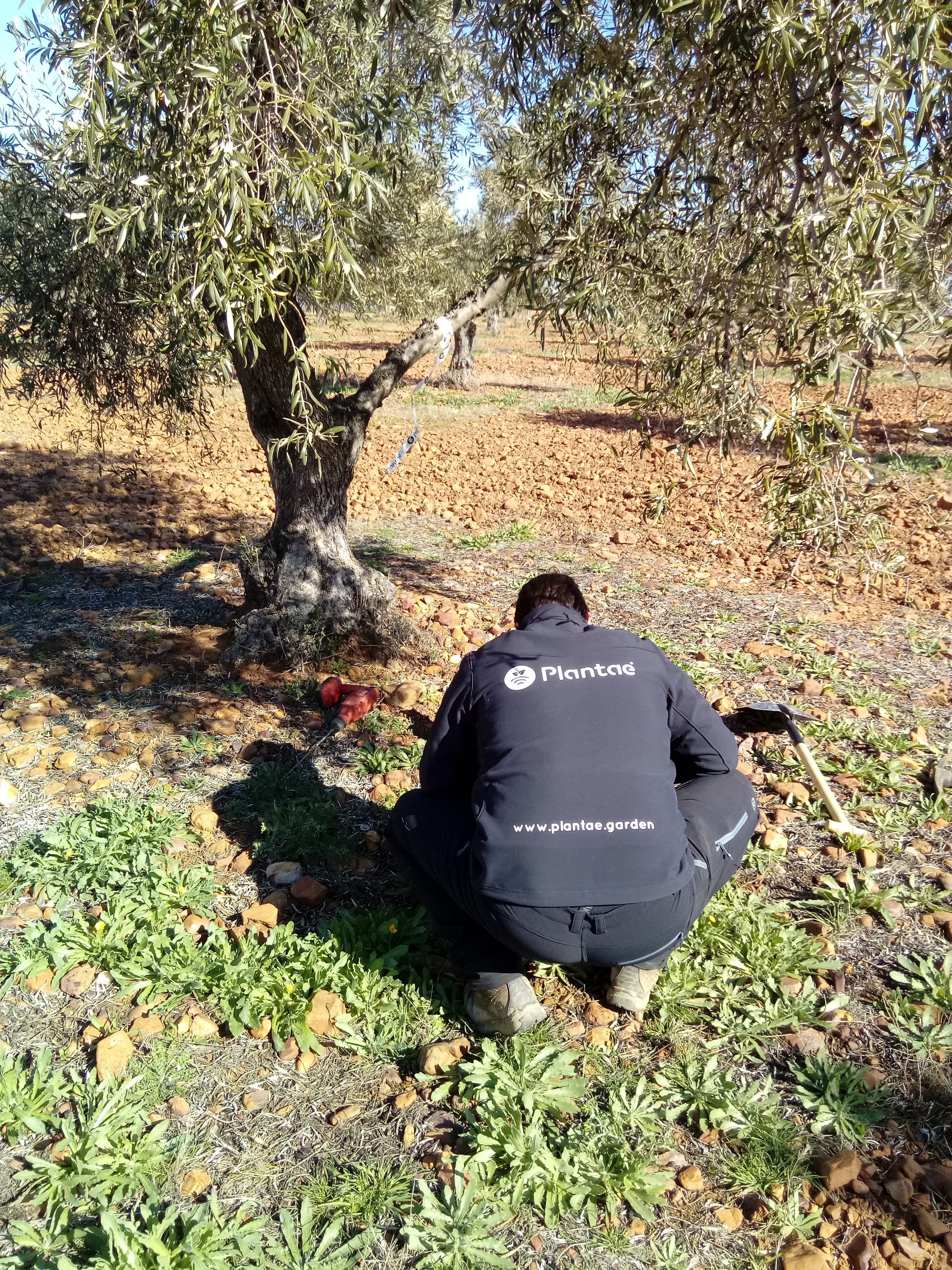 Técnico da Plantae instalando sensores
