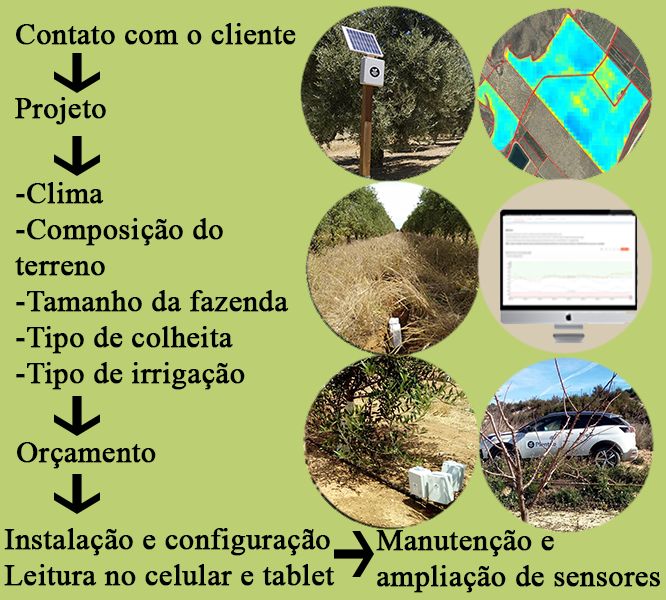 Esquema de trabalho em Plantae