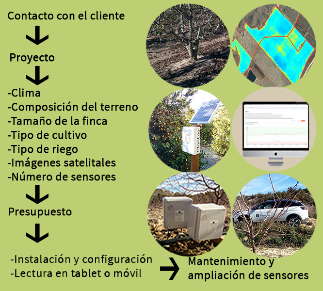 Esquema Plantae de riego con sensores/sonda para olivos