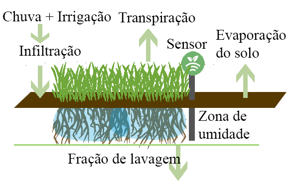 evapotranspiração