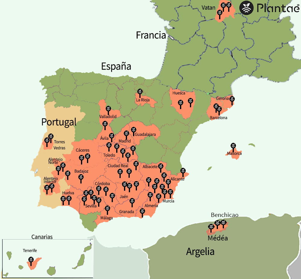 Irrigação com sensores em toda a península, França e Argélia