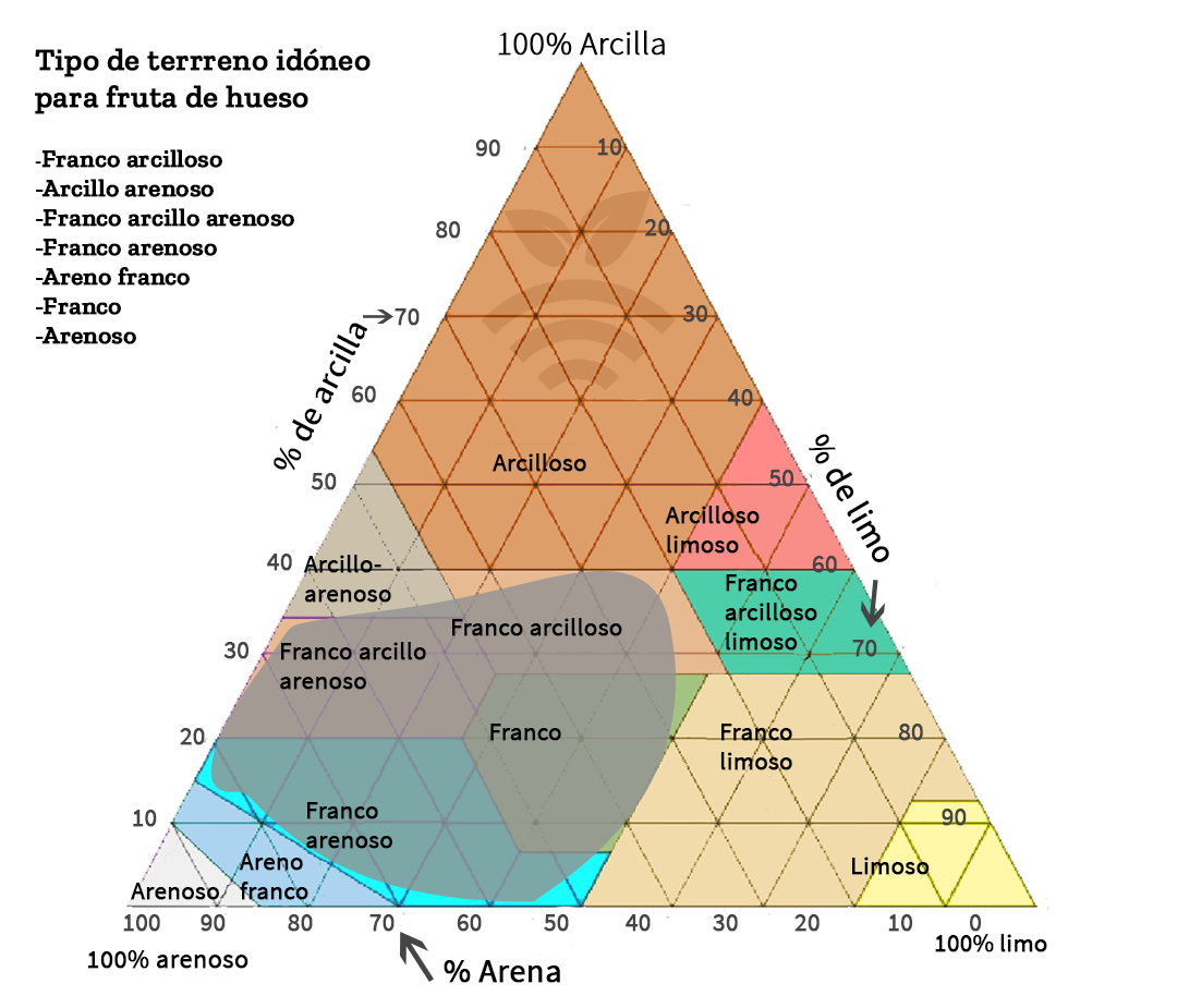 Terreno idóneo para fruta de hueso-Melocotón en España-Pesche in Spagna